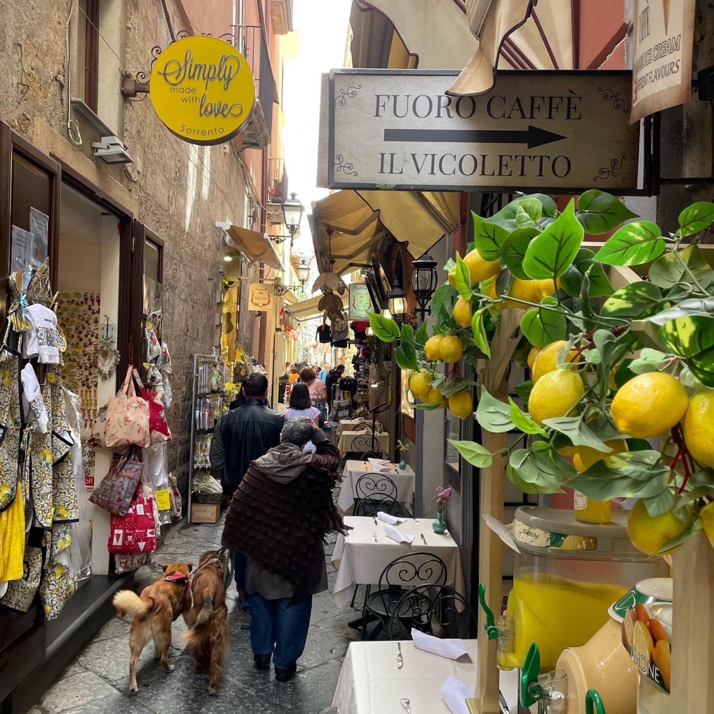 0126da0d-9b8c-4190-9b01-3864d7997bc7-1